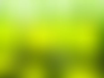 garrafas de cervejas