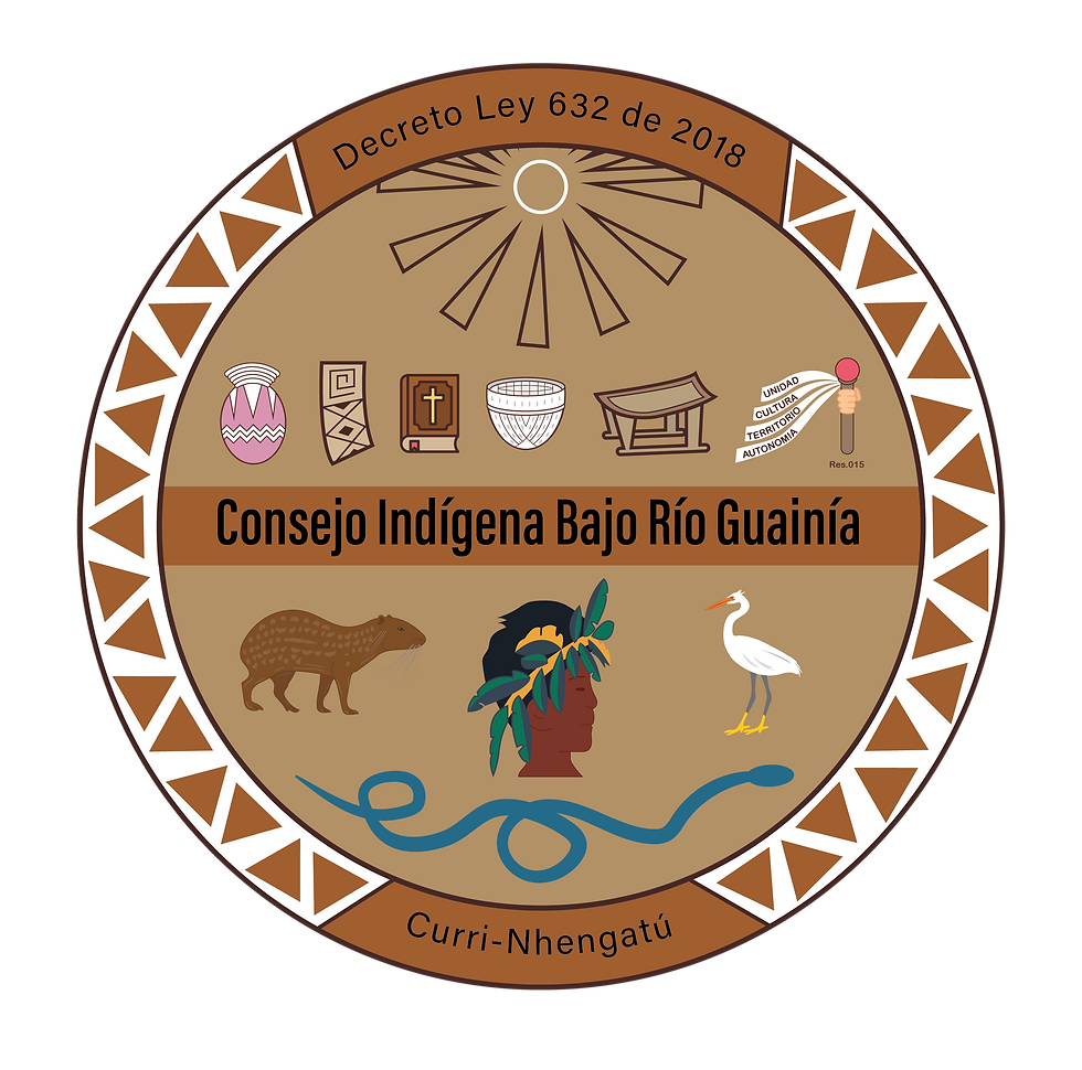 LOGO TI Bajo Río guainía V2.png