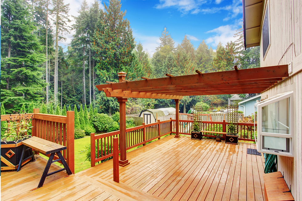 deck overlooking forest