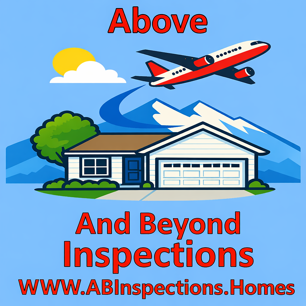 Above And Beyond Inspections