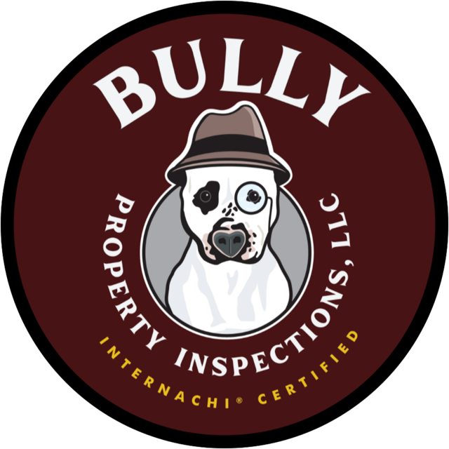 Bully Property Inspections logo