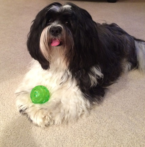 Coco ball.jpg