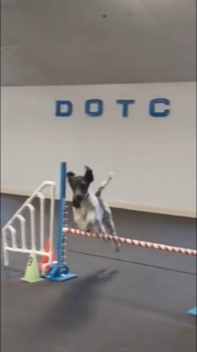 image2.png