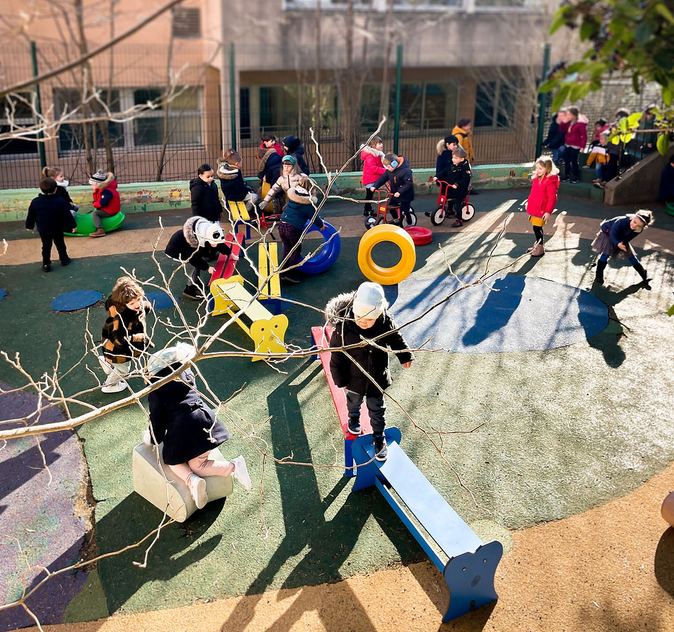 Cour de récréation securisée maternelle LaSalle saint Charles