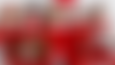 ELF ON THE SHELF: TUTTO QUELLO CHE C'E' DA SAPERE!