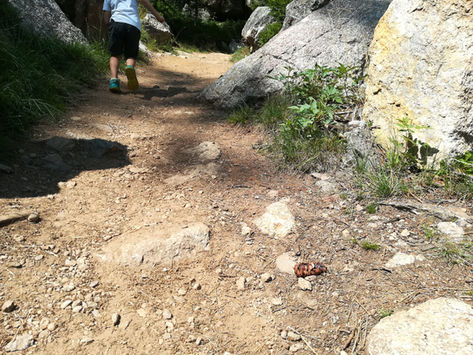 PICCOLI ESPLORATORI, 19: COME CAMMINARE IN MONTAGNA