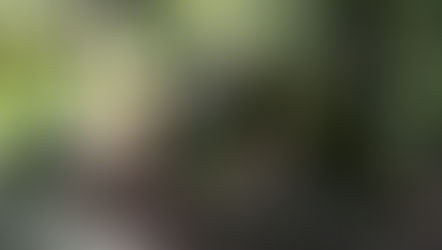 OBERPLANITZING: DIE EISLÖCHER