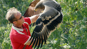 CASTEL TIROLO E GUFYLAND