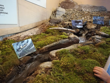 BESUCHERZENTRUM: KENNEN WIR BESSER UNSERE NATIONALE NATURPÄRKE LERNEN