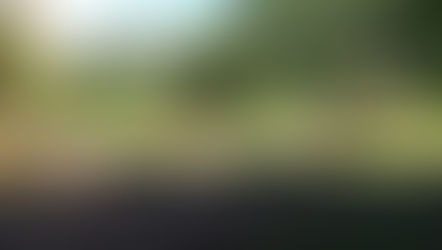 FASE 2: RIPARTIAMO CON LA MONTAGNA