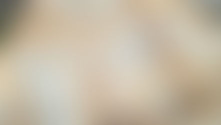 PICCOLI ESPLORATORI, 23: I FOSSILI