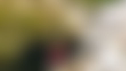 IL SENTIERO DELLE LEGGENDE DI PARCINES E VISITA ALLA CASCATA