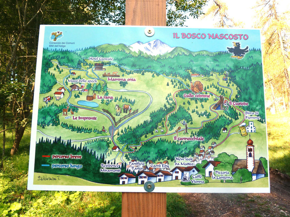 Il Bosco Nascosto Val Di Fiemme