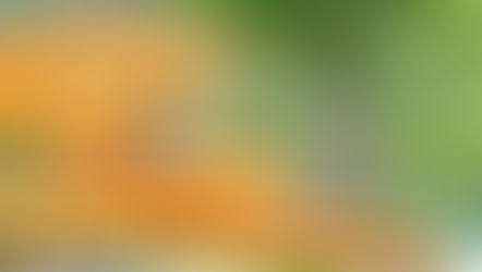 IL LIDO DI CHIUSA (KLAUSEN)