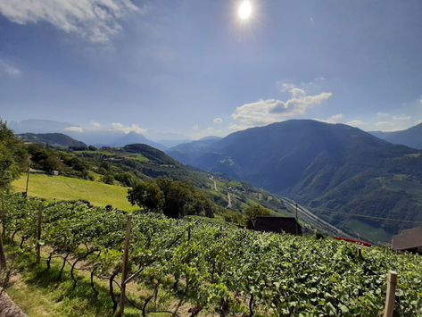 PASSEGGINI, LA PASSEGGIATA DI SIGNATO