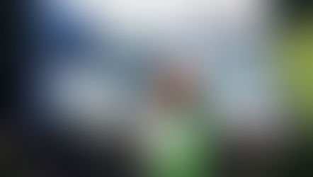 FOIANA, IL BEL SENTIERO DIDATTICO DEL CASTAGNO