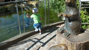 ALPENZOO: LO ZOO DEGLI ANIMALI ALPINI