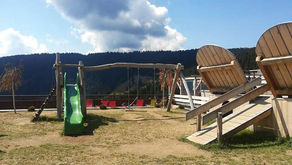 MONTE S.VIGILIO: PASSEGGIATA FINO A MALGA GAMPL, GIOCHI E PANORAMA