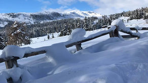 ALPE DI VILLANDRO: PASSEGGIATA PER TUTTI!