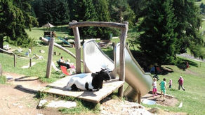 MARINZENALM MIT ZIEGEN