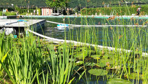 DAS NATURSCHWIMMBAD IN GARGAZON