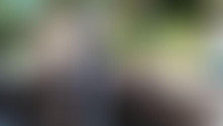 HAFLING: DER WEG DER PFERDE