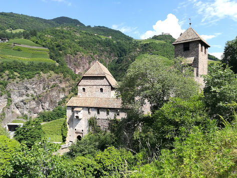 CASTEL RONCOLO-SANT'OSVALDO, SUL SENTIERO DELLE CASTAGNE