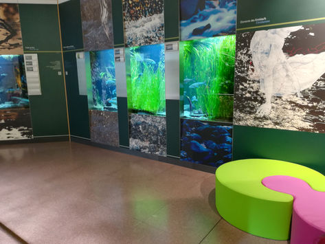 BOLZANO: IL RICCO MUSEO DI SCIENZE NATURALI
