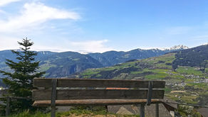 TEIS: DER BOTANISCHE LEHRPFAD