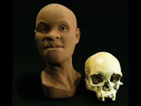 Ancient Luzia Forensics