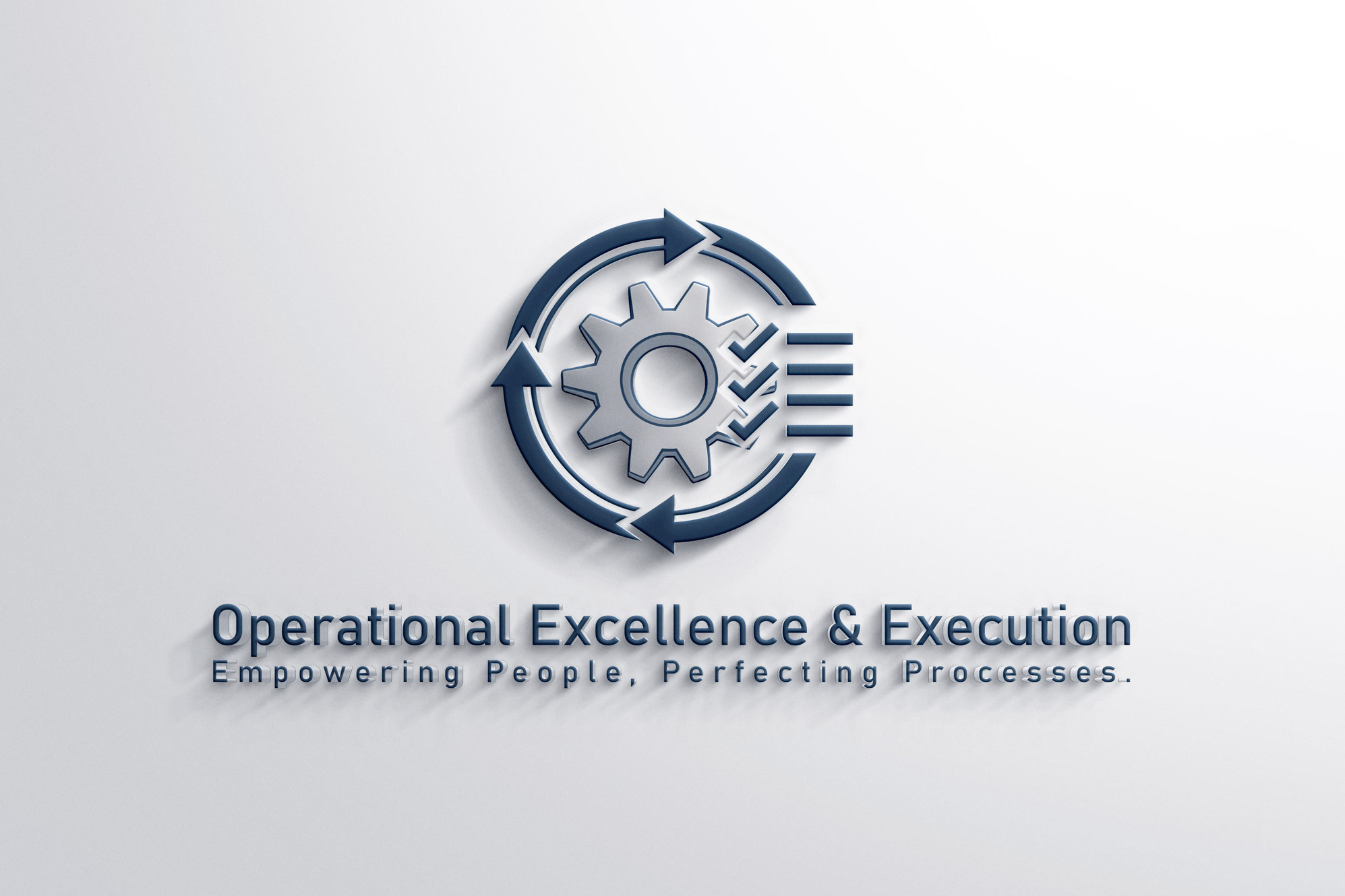 Operational Excellence & Execution | manufacturing process improvement