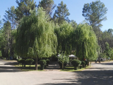 Camping Fuente de la Pascuala — photo 3