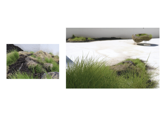 Esculturas vivas, imágenes transitorias en "Permanecer y Transformarse", 2018