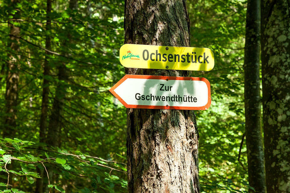 Gschwendthütte, Hohenberg, Hohenberger Gschwendt, Jägersteig, Steinparztal, Steinparzgraben, Steinparz, wandern, Wanderung, Niederösterreich, Mostviertel, Bergwandern, Hütte, Berghütte, Naturfreunde, Naturfreundehütte