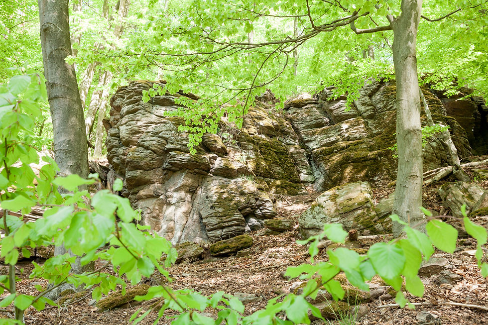 Dunkelsteinerwald, Wachau, Niederösterreich, Steinformation, Felsen, Wandern, Ausflug