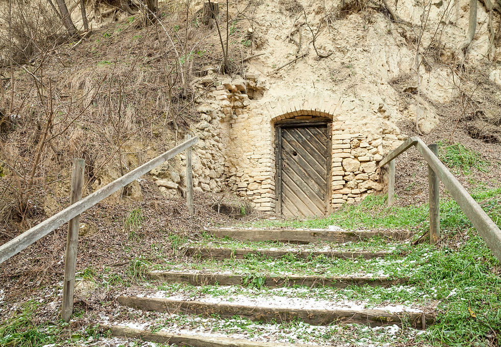 Rohrendorf, Krems, Donautal, Wachau, Donau, Kellergasse, Niederösterreich, Wandern, Wanderung, Winterwandern, Rundwanderung, Weinbergwanderung, Weinberg, Weingärten, Weinbau, Keller, Heinz-Conrads-Tor, Tut-Gut-Wanderweg