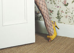 Shoes and Stockings