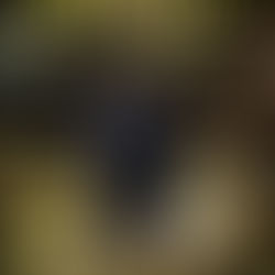 Al maestro con cariño - Ennio: el maestro