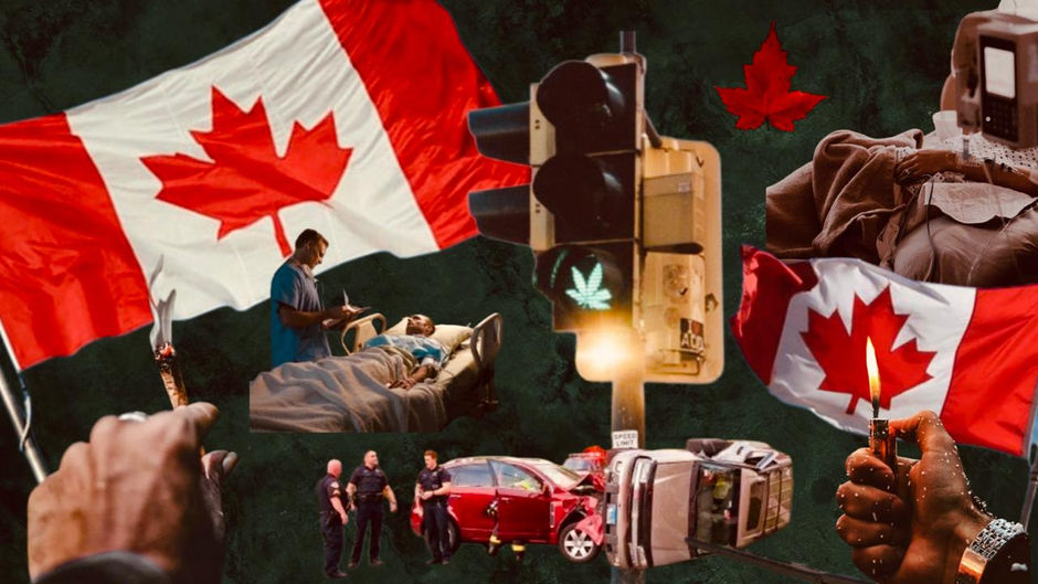 Cannabis: Experiências Internacionais - Canadá
