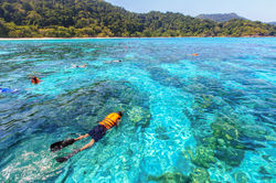 img_1892_20411504781_o