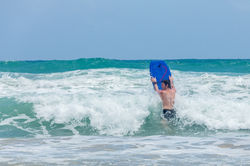 Flickr - IMG_9211