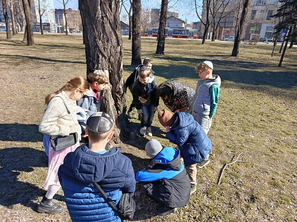 Екскурсія в природу «Секрети первоцвітів»