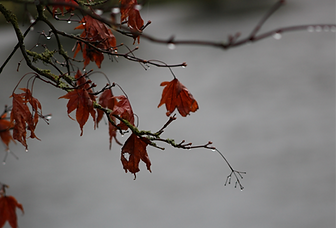 Learning Photography