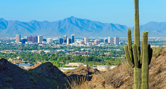 Phoenix.webp