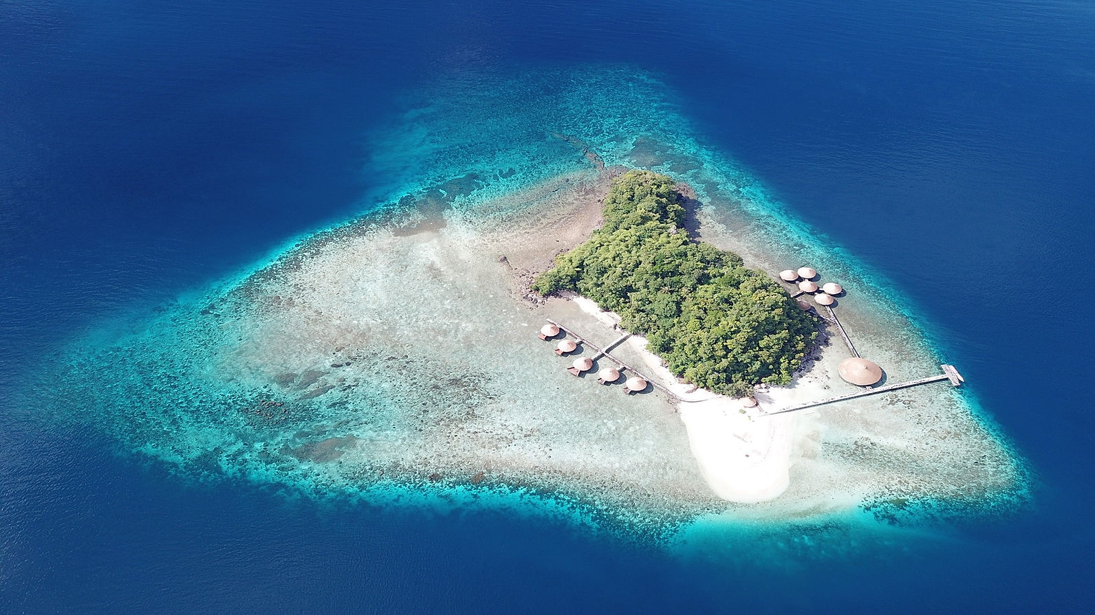 Raja Ampat Dive Lodge