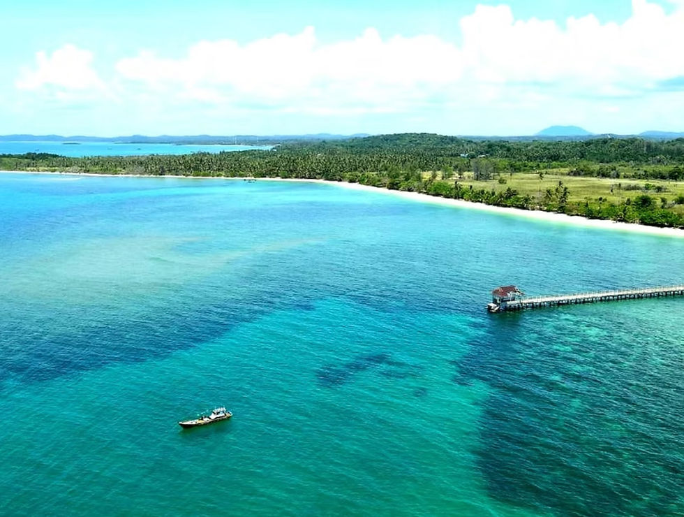 bintan land deal.jpg