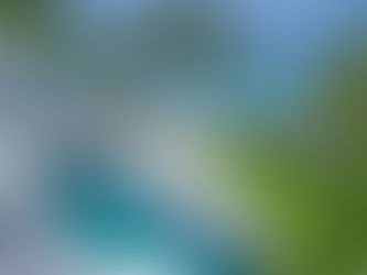 Beachfront Homes For Sale