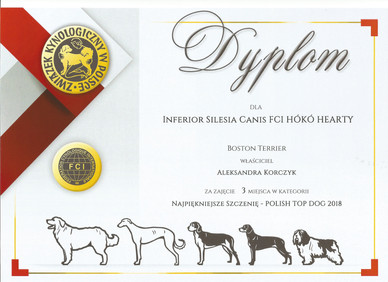 diploma - top puppy.jpeg