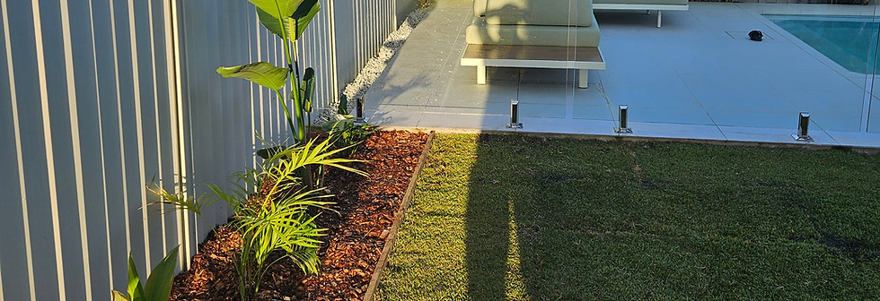 turf sunshine coast