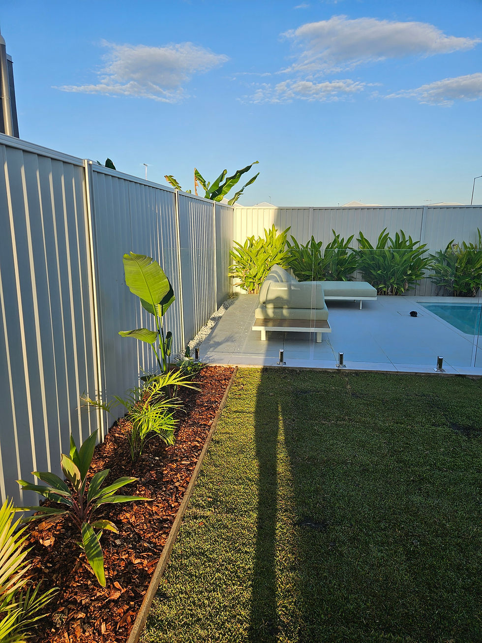 turf sunshine coast